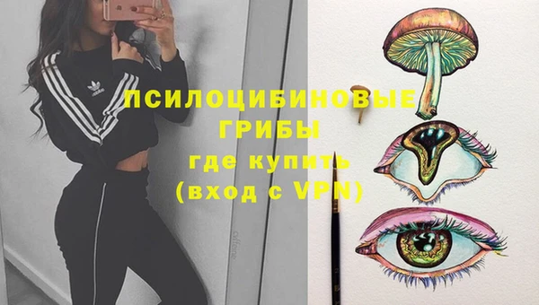 гашик Волосово