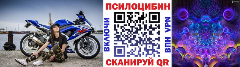 Галлюциногенные грибы Magic Shrooms  наркотики  Катав-Ивановск 